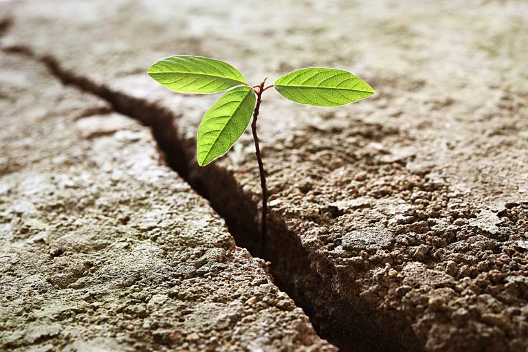 آموزش تاب‌آوری و انعطاف‌پذیری افراد در موقعیت‌های پرتنش