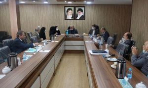 سازمان نظام روانشناسی؛ ضرورت مشارکت اعضا