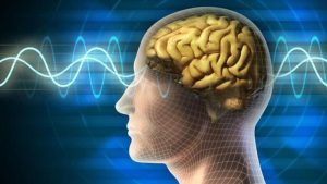ویرایش خاطرات در مغز انسان | از خیال علمی‌تخیلی تا واقعیت عصب‌پژوهی نوین