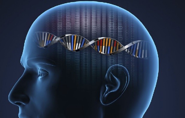 نقشه DNA و نمادهای شخصیت و روان‌درمانی با تأثیر عوامل ژنتیکی