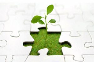 مدیریت بحران ها و نقش همیاران سلامت روان
