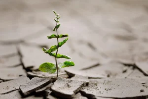 چگونه در شرایط سخت از سلامت روان خود مراقبت کنیم؟