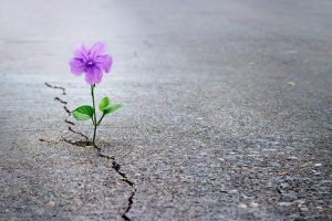 تاب‌آوری در بحران چگونه شکل می‌گیرد؟ | نقش مغز، رسانه و امید در مدیریت اضطراب جمعی